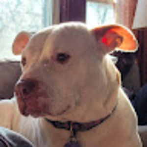 Meet your Posher, Joanie